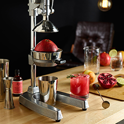 Manual Lever Juicer